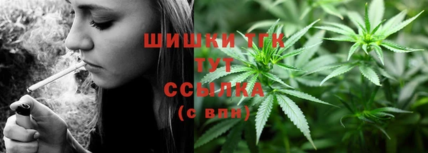 стаф Абинск