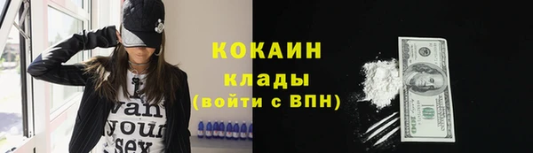 стаф Абинск