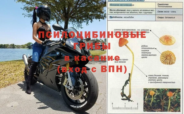 альфа пвп Заволжск