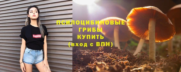 ALPHA PVP Алзамай