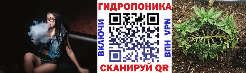 продажа наркотиков  Егорьевск  Бошки Шишки индика 